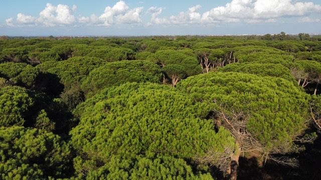 La villa romana di Procoio